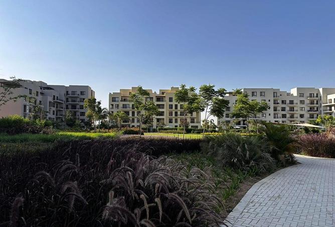 8233132 - صورة العقار 2