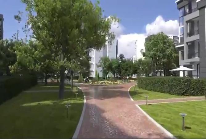 7985205 - Property Main Image