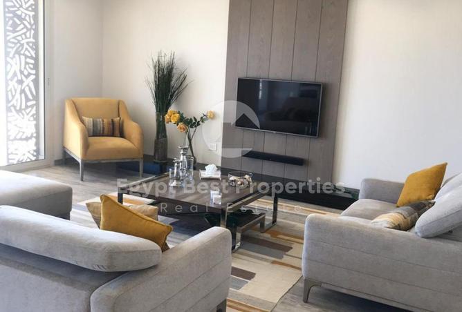 8248670 - Property Image 3