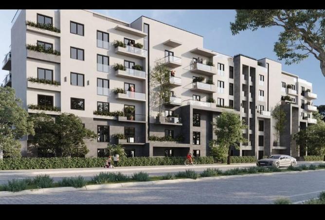 7987489 - Property Image 3
