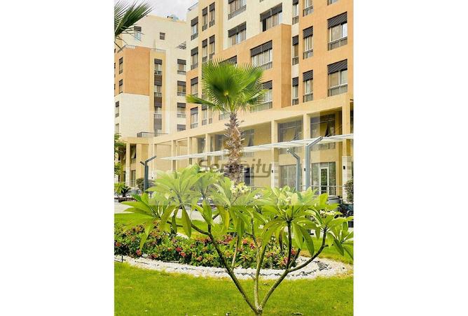 7708599 - Property Image 3