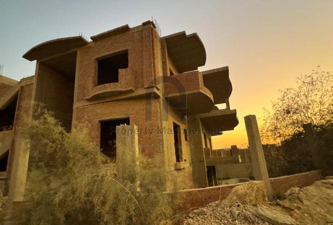 8115355 - Property Image 3
