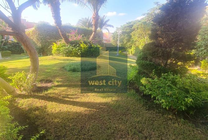 8260331 - صورة العقار 3