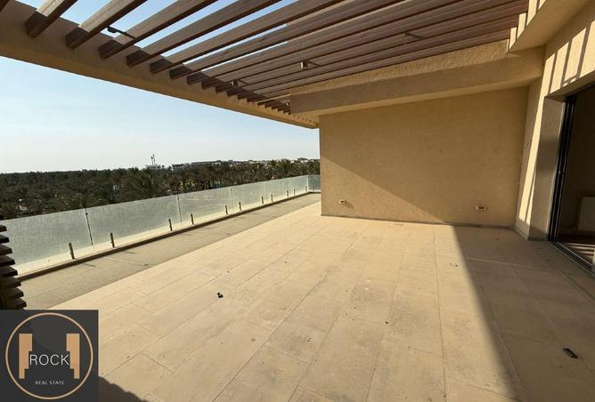 8136005 - Property Image 3