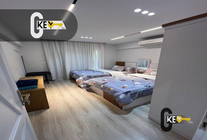 8146032 - Property Image 3
