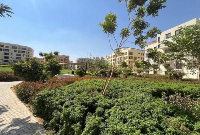 8283119 - صورة العقار 2