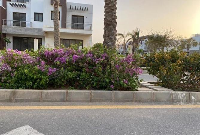 8403283 - صورة العقار 2