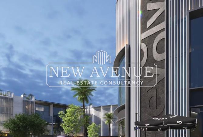 8155516 - Property Image 3