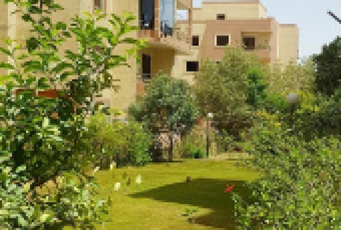 8291524 - صورة العقار 3