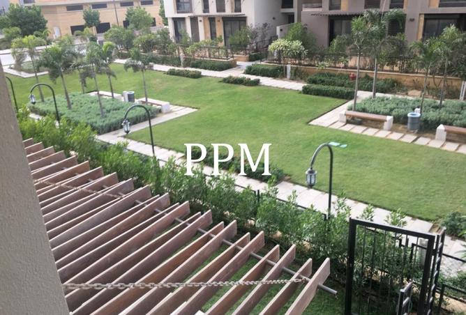 8233852 - صورة العقار 3