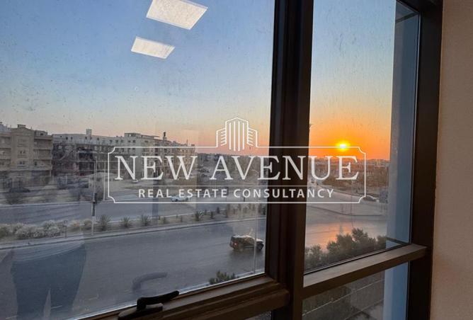 8386489 - Property Image 2