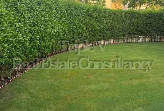 8218037 - صورة العقار 2