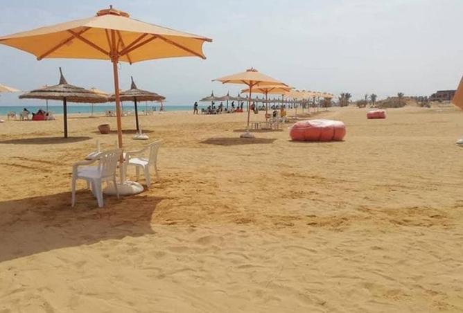 8267071 - صورة العقار 3