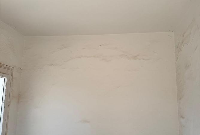 8195789 - Property Image 3