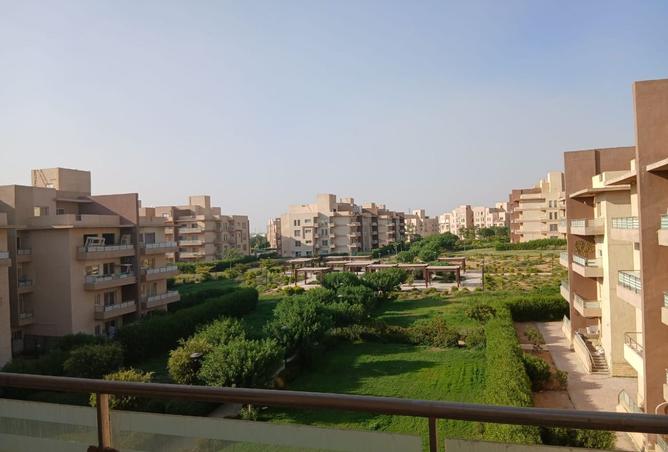 8252920 - صورة العقار 2