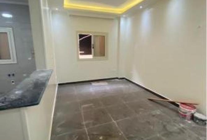 8007803 - Property Image 3