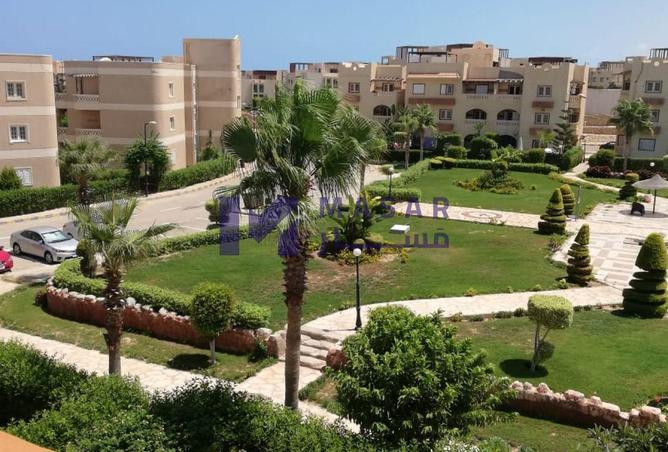 8390730 - Property Image 2