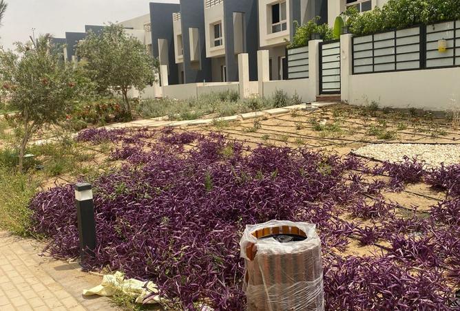 8187551 - صورة العقار 3