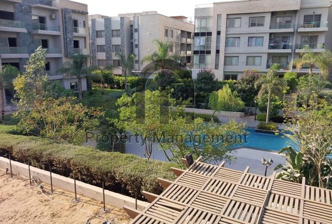 8344446 - Property Image 3