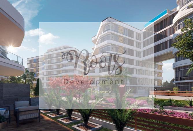 8082362 - Property Image 3