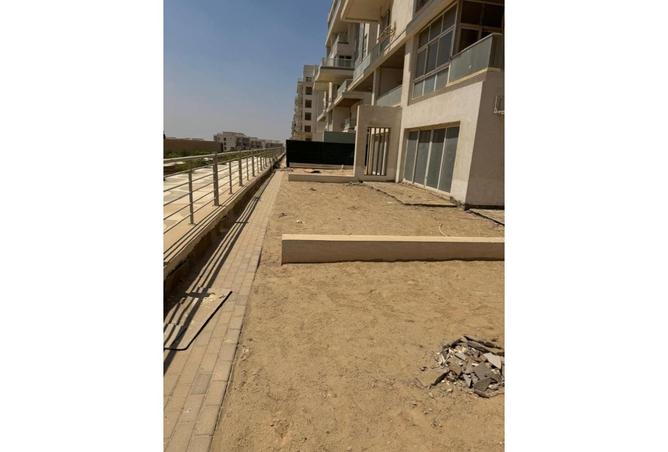 8100937 - Property Image 3