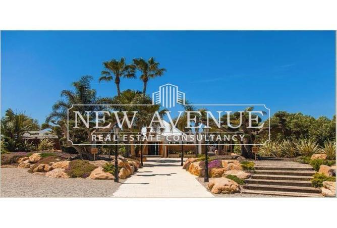 8127858 - Property Image 3