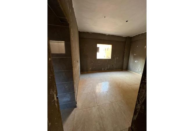 8431514 - Property Image 3