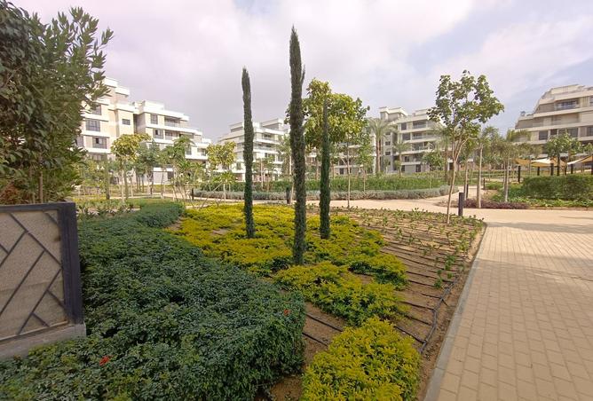8045567 - Property Image 3