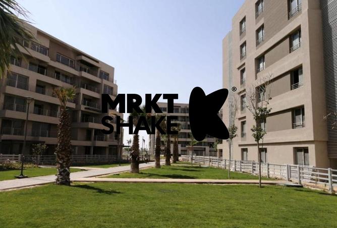 8513685 - Property Image 2