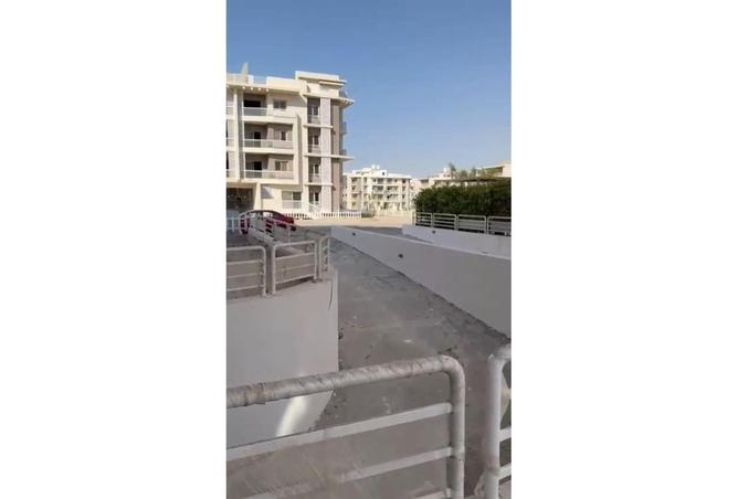 7986217 - Property Image 3