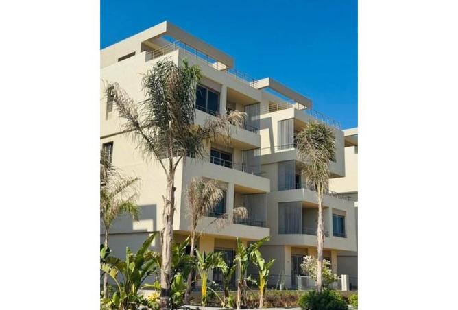 8435397 - Property Image 2