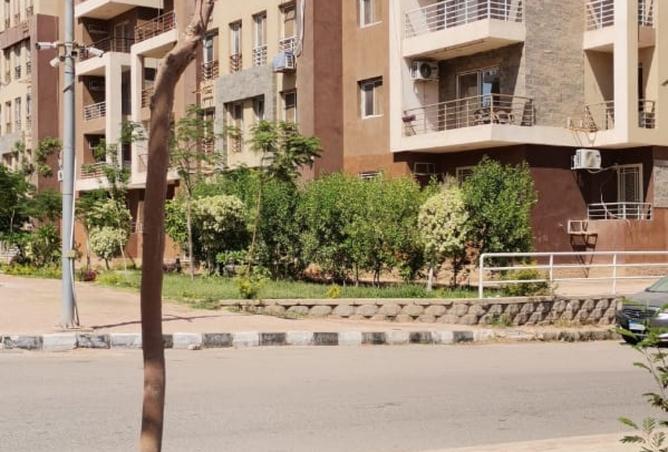 8403823 - صورة العقار 3