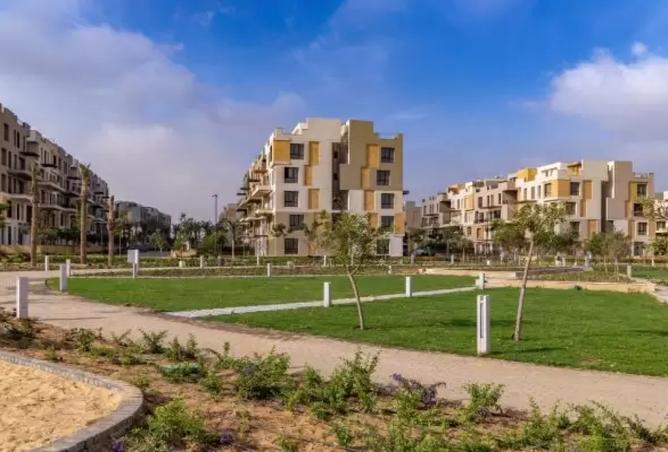 8422485 - Property Image 3