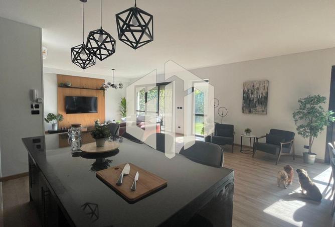8026649 - Property Image 3