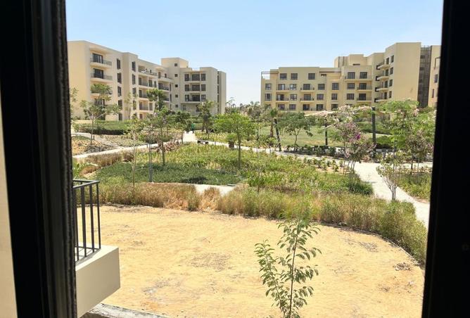 8002052 - صورة العقار 3