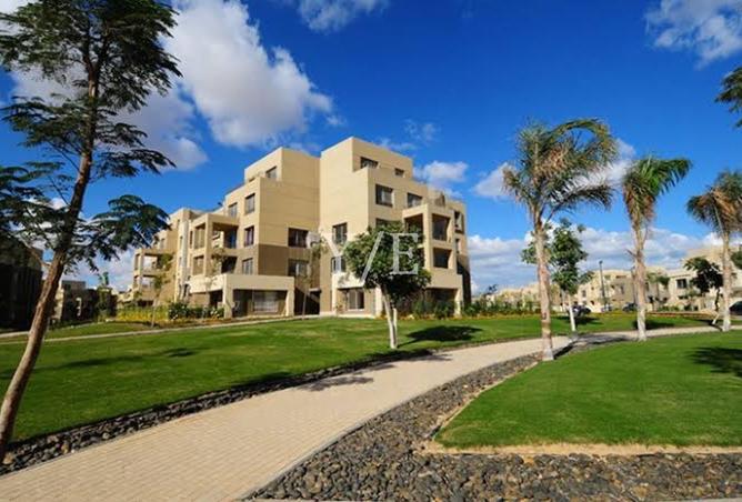 7911897 - Property Image 3