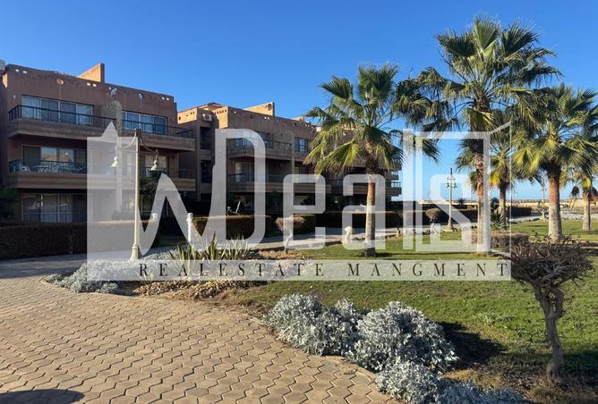 8165224 - صورة العقار 3