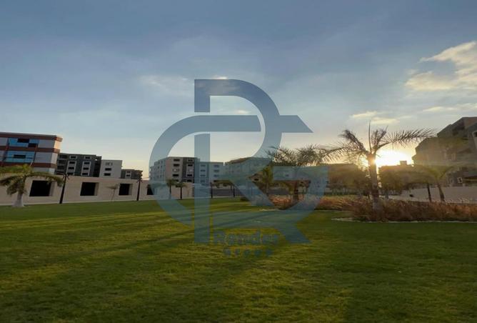 8361413 - Property Image 3