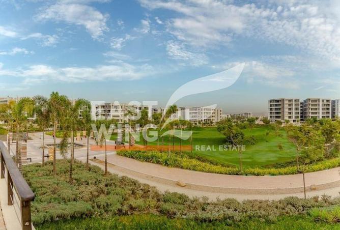 7979862 - Property Image 3