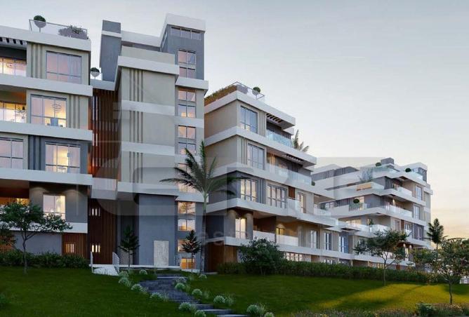 8113718 - Property Image 3