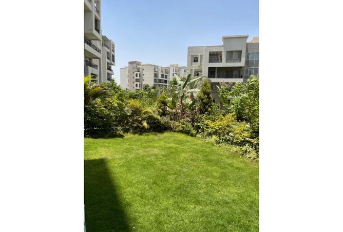 8307464 - الصورة الرئيسية للعقار