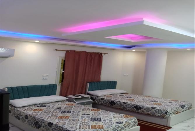 8205192 - Property Image 3