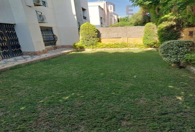 7986732 - صورة العقار 2