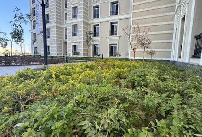 8211635 - Property Image 3