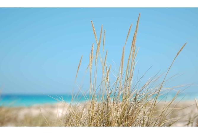 8363303 - Property Image 3