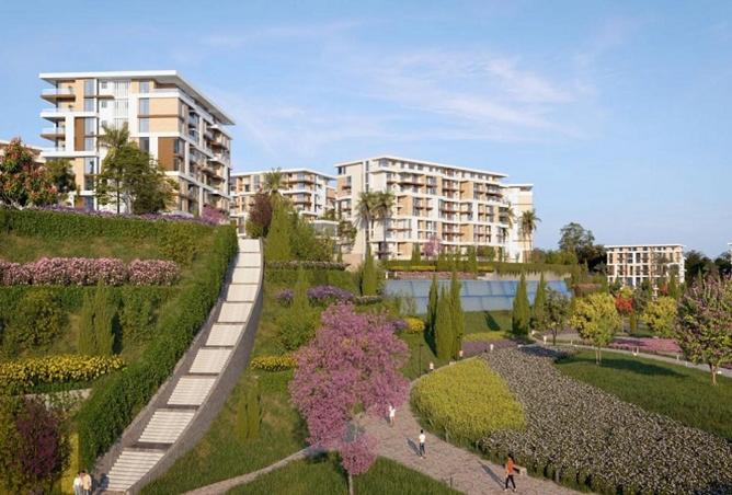 8472951 - Property Image 2