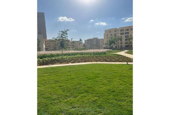 8486541 - صورة العقار 3