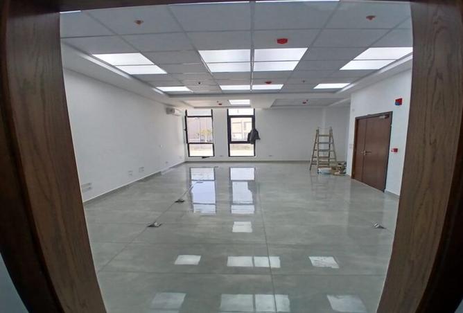 8515541 - Property Image 3