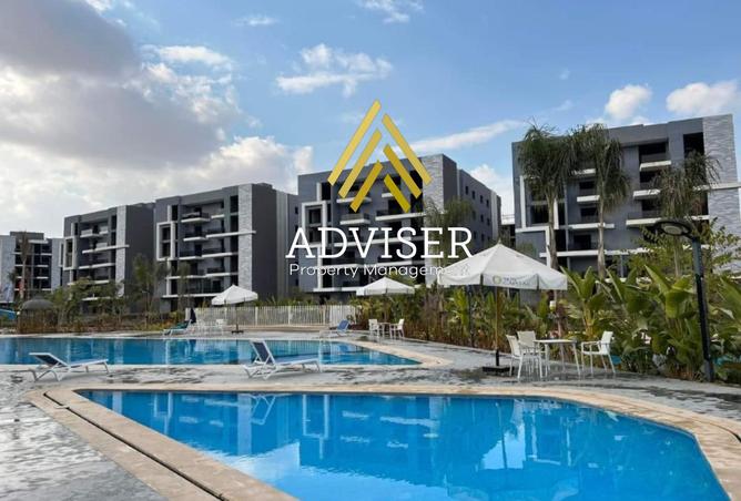 8280072 - Property Image 3