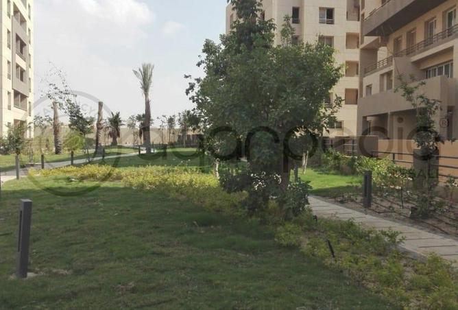 8213393 - صورة العقار 2